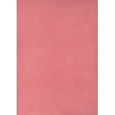 Ref. 78599 - DECALQUE FOLHA CHAPADA ROSA 1320/001